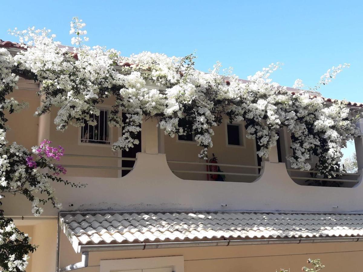 Makis Apartments Arillas  Extérieur photo