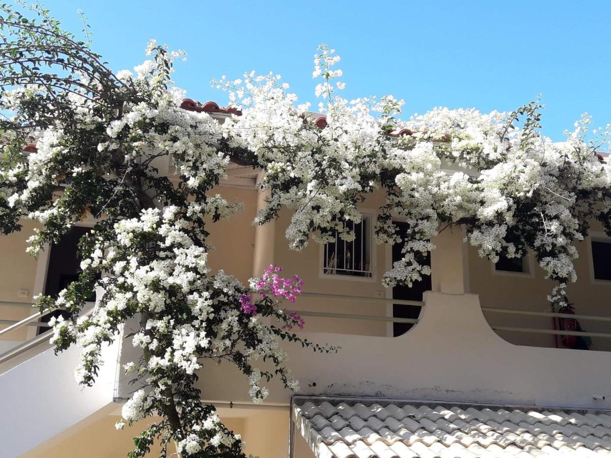 Makis Apartments Arillas  Extérieur photo